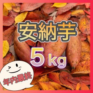 さつまいも『安納芋5kg』(野菜)