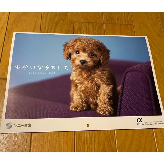 SONY(ソニー)のソニー生命　ゆかいな子犬たち　2022 カレンダー コスメ/美容のコスメ/美容 その他(その他)の商品写真