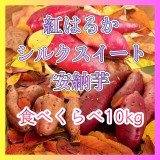 さつまいも3種食べくらべ10kg 『紅はるか×安納芋×シルクスイート』(野菜)