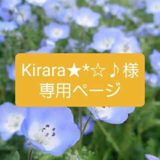 Kirara★*☆♪様専用ページ(宛名シール)