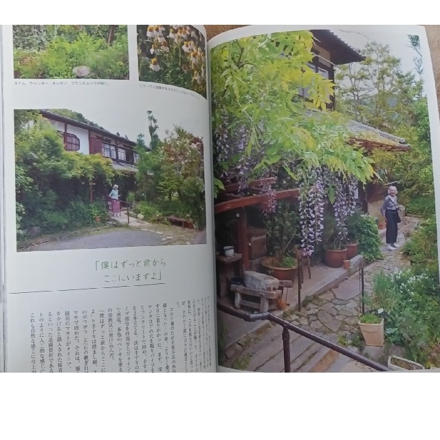 チルチンびと No.105　「緑と暮らす」 エンタメ/ホビーの雑誌(生活/健康)の商品写真