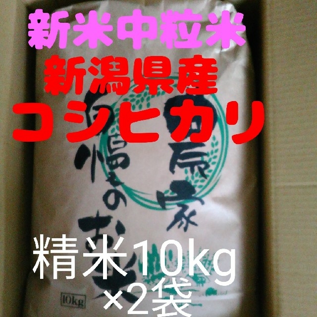 即購入OK】新潟県長岡産新米コシヒカリ中粒米10キロ精米×2袋同梱　米/穀物
