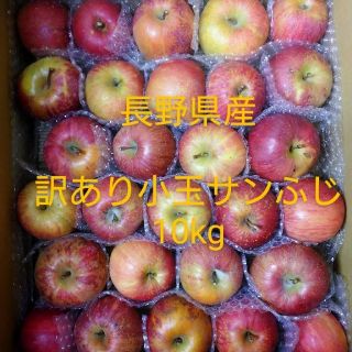 ⑮長野県産りんご 訳あり 小玉サンふじ10kg(フルーツ)