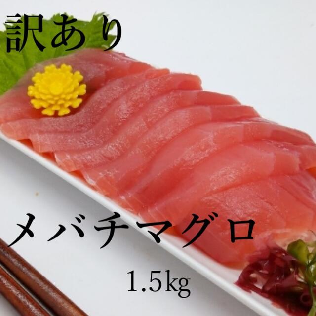 【北海道直送】訳あり！大特価！マグロ　1.5kg 冷凍　大鉢マグロ　市場見切り品