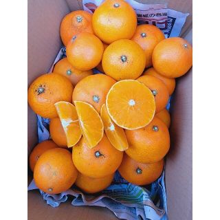 愛媛県産　まどんなぁ　箱込み約5㎏　訳あり　柑橘　まどんな　みかん(フルーツ)
