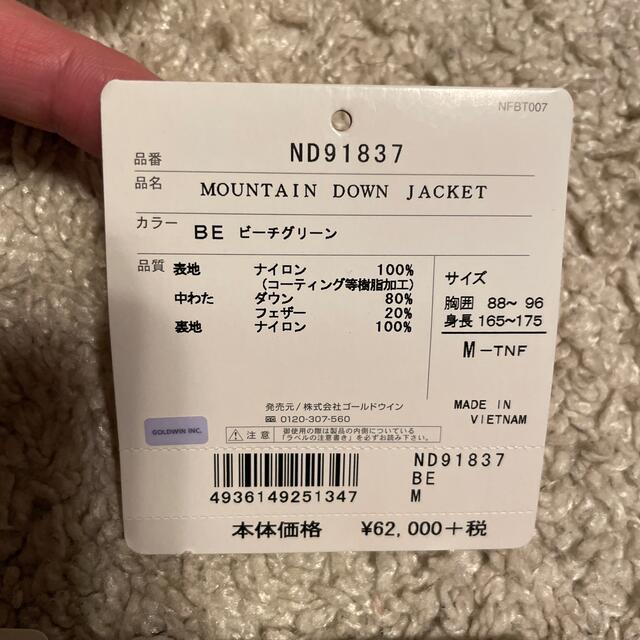 North Face Mountain Down Jacket ビーチグリーン 6