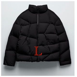 ザラ(ZARA)のadererror zara down ダウンジャケット L black(ダウンジャケット)