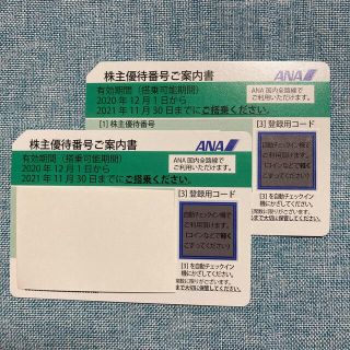 エーエヌエー(ゼンニッポンクウユ)(ANA(全日本空輸))のANA株主優待券(その他)