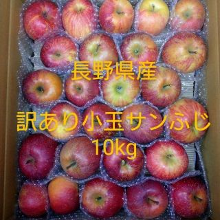 ⑯長野県産りんご 訳あり 小玉サンふじ10kg(フルーツ)