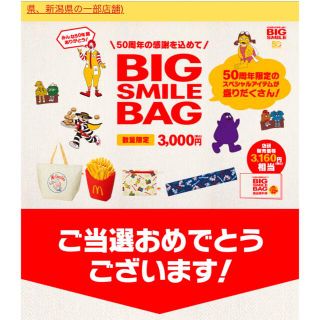 マクドナルド(マクドナルド)のマクドナルド BIG SMILE賞品無料券のみ3160円分(その他)