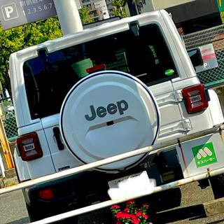 ジープ(Jeep)のJLラングラー用 ボディー同色　ハードケース ロゴ付(車種別パーツ)