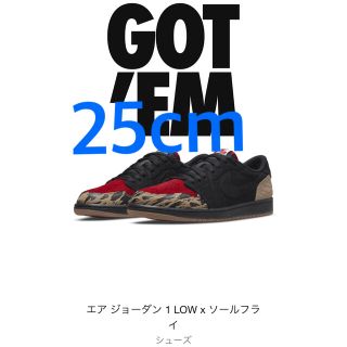 ナイキ(NIKE)のSole Fly Nike Air Jordan 1 25cm(スニーカー)