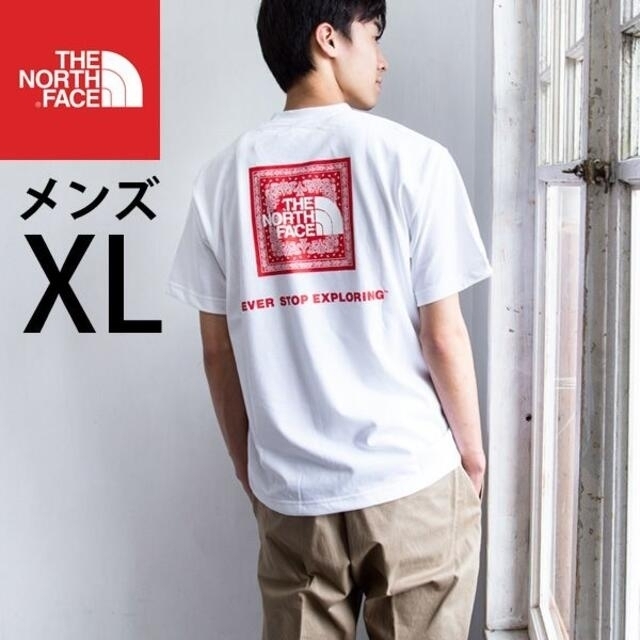 THE NORTH FACE ノースフェイス  NSEバンダナ Tシャツ L