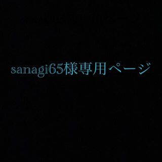 sanagi65様専用ページ(車体)