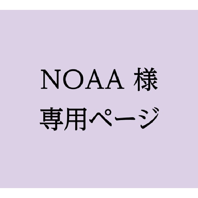 NOAA様専用ページ エンタメ/ホビーのコレクション(使用済み切手/官製はがき)の商品写真