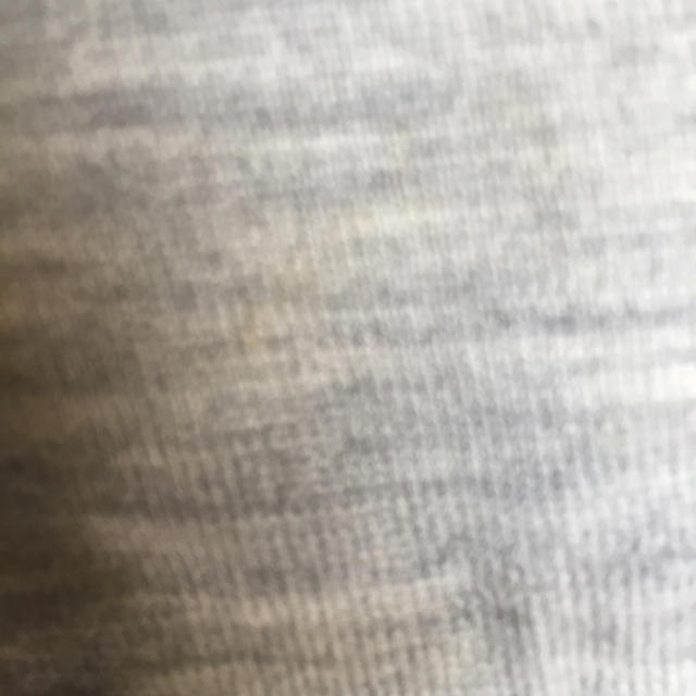 BODY DRESSING Deluxe(ボディドレッシングデラックス)の薄いグレー レディースのトップス(カットソー(長袖/七分))の商品写真
