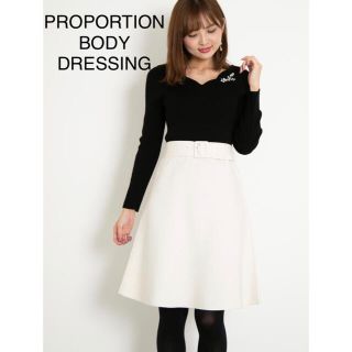 プロポーションボディドレッシング(PROPORTION BODY DRESSING)のPROPORTION BODY DRESSING バイカラーニットワンピース(ひざ丈ワンピース)