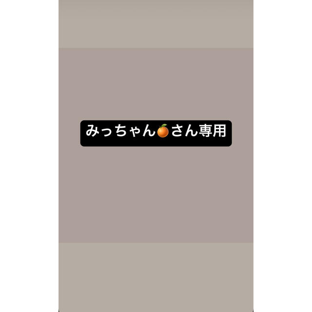 みっちゃん🍊様専用 品数豊富! noxcapital.de