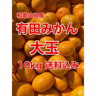 有田みかん　大玉　10㎏箱に満杯　送料込み(フルーツ)