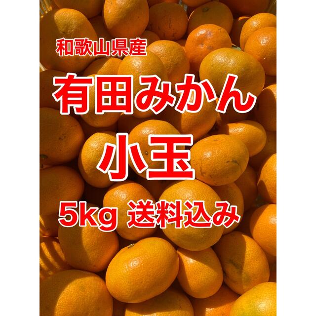 有田みかん　小玉　5㎏　家庭用　送料込み 食品/飲料/酒の食品(フルーツ)の商品写真