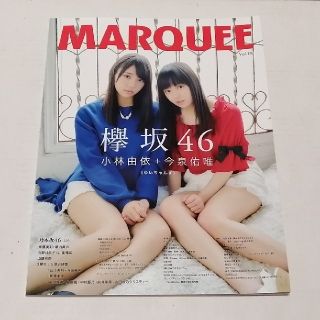 ノギザカフォーティーシックス(乃木坂46)のMARQUEE（マーキー）　vol.120(音楽/芸能)