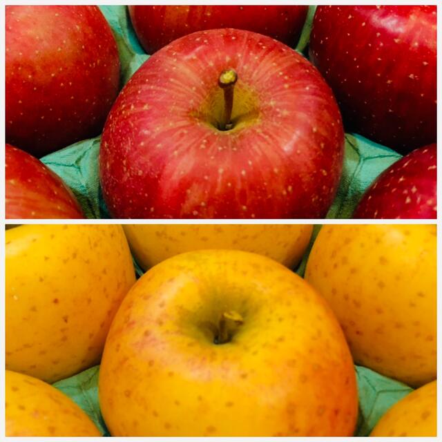 青森りんご 葉とらずサンふじ・サン金星 11kg 食品/飲料/酒の食品(フルーツ)の商品写真