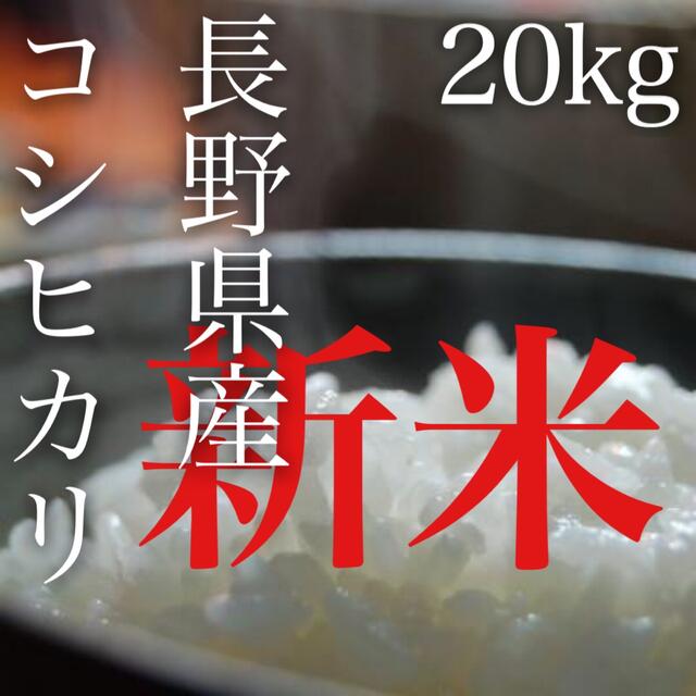 令和3年産】長野県コシヒカリ20キロ白米　米/穀物