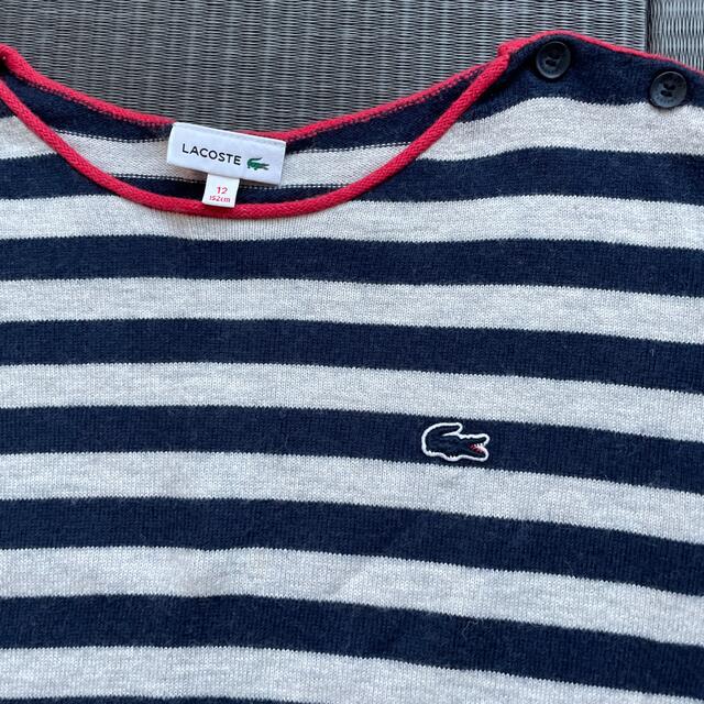 LACOSTE(ラコステ)の専用　ラコステ　ニット　キッズ キッズ/ベビー/マタニティのキッズ服男の子用(90cm~)(ニット)の商品写真