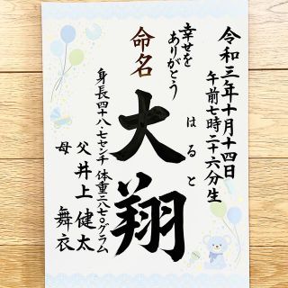 A4サイズ 命名書 お七夜 百日　お宮参り(命名紙)