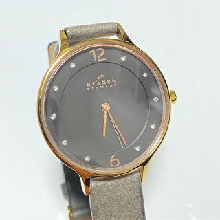 スカーゲン(SKAGEN)のスカーゲン skw2267 電池交換済み！(腕時計)