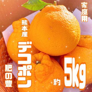 ［大人気］デコポン　約5kg  クリスマス　お正月　年末年始　贈り物(フルーツ)