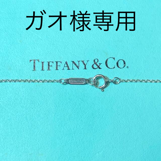 ティファニー　プラチナネックレス　TIFFANY&Co. 美品　レアネックレス