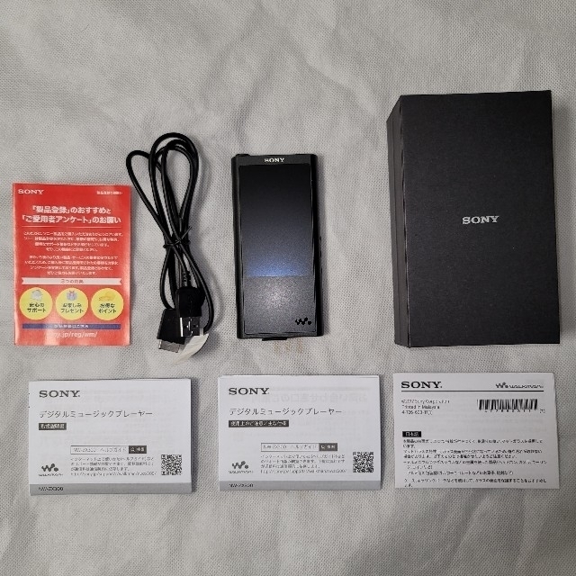 Sony  NW-ZX300
