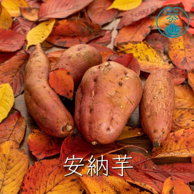 さつまいも食べくらべ10kg 『紅はるか×安納芋』 食品/飲料/酒の食品(野菜)の商品写真