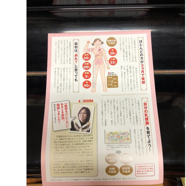 新品大得価 智通 乳酸菌生成エキス アルベックス ラクティス レックスプロの原液 30本の通販 by 明光's shop|ラクマ 限定品通販