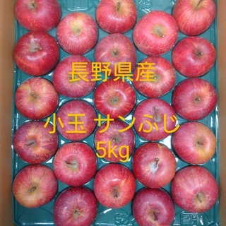 ⑲長野県産 りんご小玉 5㎏ サンふじ(フルーツ)