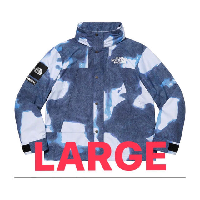 メンズSupreme The North Face Bleached Mountain