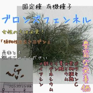フェンネルの通販 100点以上 食品 飲料 酒 お得な新品 中古 未使用品のフリマならラクマ フェンネルの通販 100点以上 食品 飲料 酒 お得な新品 中古 未使用品のフリマならラクマ