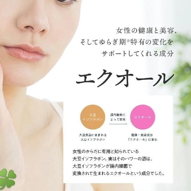 大塚製薬(オオツカセイヤク)の大塚製薬 エクエル 30日分 120粒 2袋 コスメ/美容のボディケア(その他)の商品写真