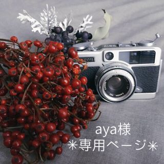 aya様専用●ベルガムナッツと綿の実のグリーンタペストリー◎38センチ(リース)