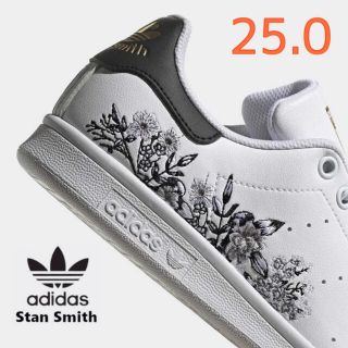 スタンスミスW G27907 24.5cm ミント 天然皮革 adidas 新品 kinkiseifun.jp