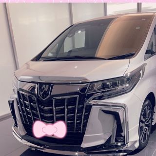 トヨタ(トヨタ)のフロントスポイラー モデリスタ 新車(車外アクセサリ)