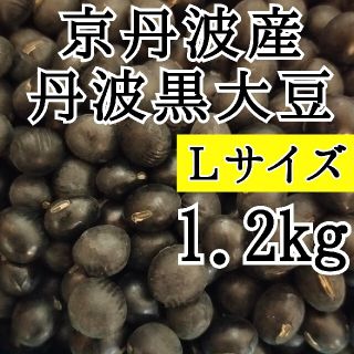 丹波黒大豆 1.2kg 京丹波産 令和3年産 新豆 Ｌサイズ  丹波の黒豆(米/穀物)