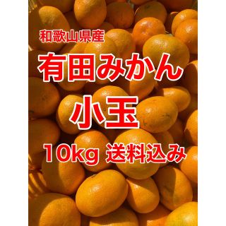 有田みかん　小玉　10㎏　家庭用　送料込み(フルーツ)