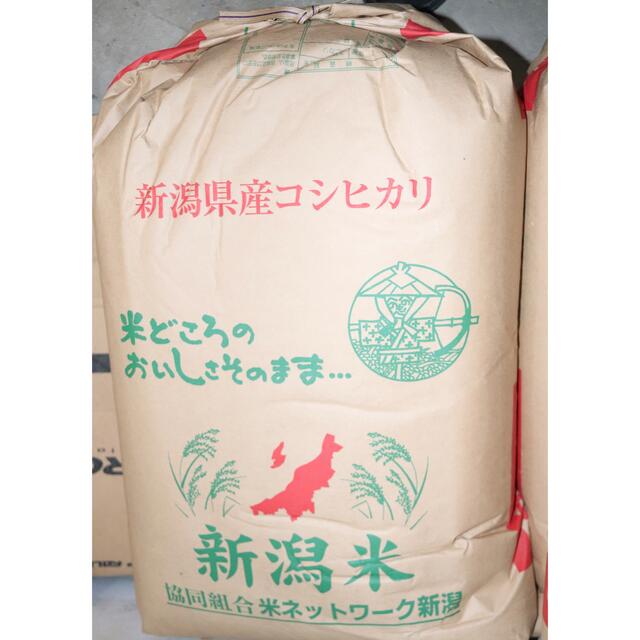 新潟県産コシヒカリ30kg令和2年（2020) 精米無料 - 米/穀物