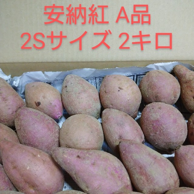 種子島安納紅2S2キロ 食品/飲料/酒の食品(野菜)の商品写真