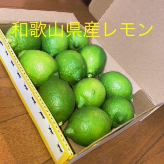 和歌山産レモンA品(フルーツ)