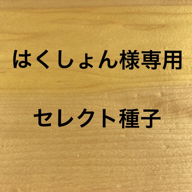 はくしょん様専用　セレクト種子　10袋 食品/飲料/酒の食品(野菜)の商品写真