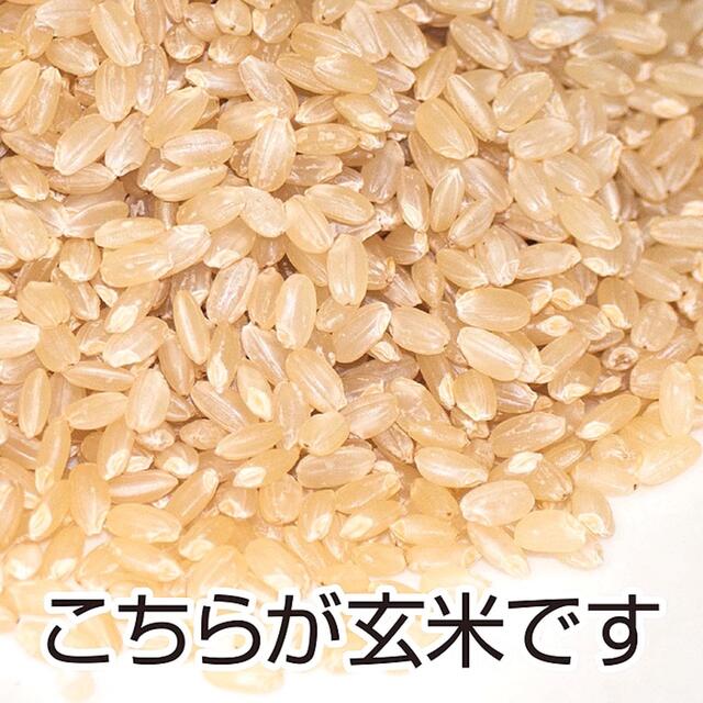 秋田県産 令和3年 新米 あきたこまち25kg 特別栽培米 有機米 無洗米も対応 食品/飲料/酒の食品(米/穀物)の商品写真