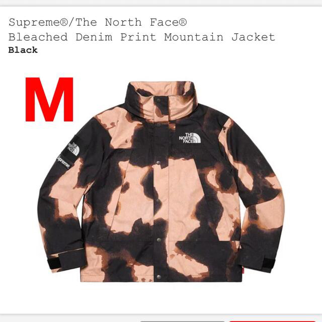 Supreme The North Face Mountain Jacket